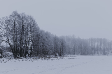 Winter landscape with trees