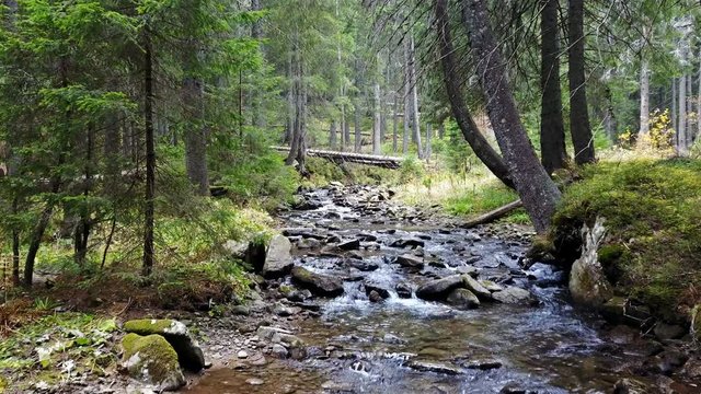 A view of a mountain stream that flows down a slope of stones