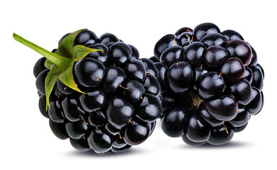 Fresh blackberry isolated on white background with clipping path