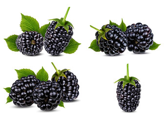 Fresh blackberry isolated on white background with clipping path