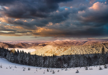 Panoramic view of dramatic sunset in the winter mountains. Wooded hills covered with snow, fog...