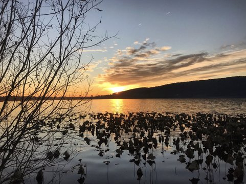 natural sunset