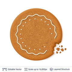 Gingerbread cookie isolated on white.