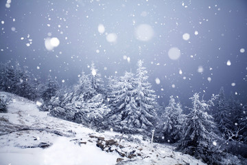 Trees covered with hoarfrost and snow in winter mountains - Christmas snowy backgroundic holiday background