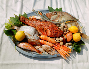 Mittelmeerfische und Muscheln
