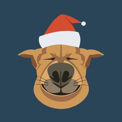  dog in santa claus hat, year of dog