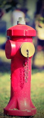 red hydrant with gold-colored closing lid