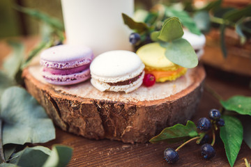 Colorful macaroons on a round wood log