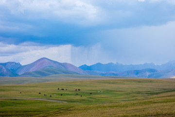 Fototapeta premium Storm in the mountains of Song Kul