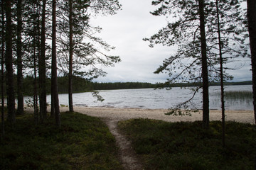 Path to the beach at the lake Suomunjärvi, Patvinsuo National Park, summer 