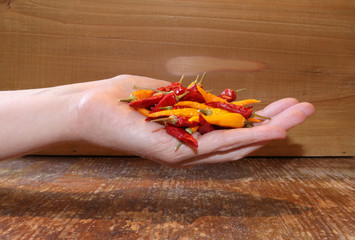 Dried red and yellow chillies