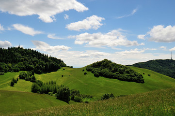 Fototapeta na wymiar Kaiserstuhl Landscape Badberg
