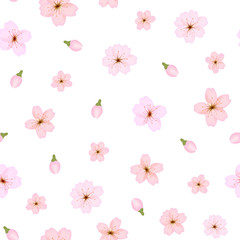 Branch of Sakura or Cherry Blossoms Background Pattern. Vector