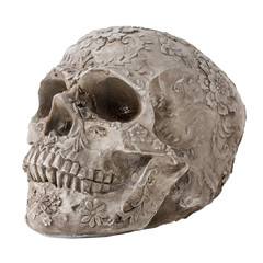 Skull isolated on white background. Skull with carved pattern.