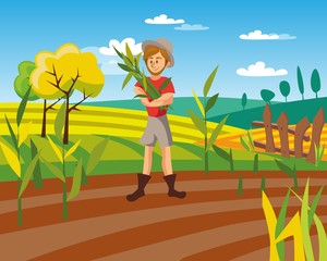 Obraz na płótnie Canvas Male farmer harvesting crop, cultivated agriculture field, rural landscape vector Illustration
