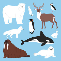 Arctic animals cartoon vector polar bear or penguin character collection with whale reindeer and seal in snowy winter antarctica set isolated illustration