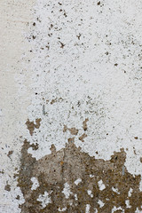 The vertical view of old,white, grey grunge concrete texture or background. Copy space. graphical...