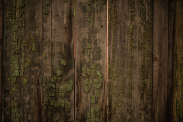 Fototapeta premium old green wooden fence background