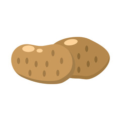 Colored set of potato. Vector illustration