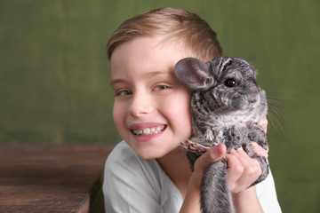 Cute boy with funny chinchilla, indoors