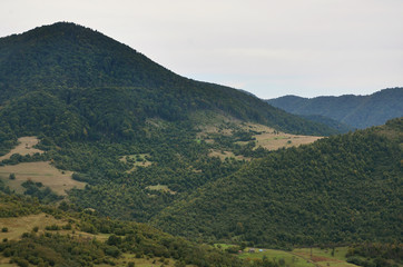 Fragment of the mountainous terrain in the Carpathians, Ukraine. The forest is forgiven by the...