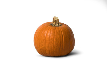 Beautiful pumpkin isolated on a white background