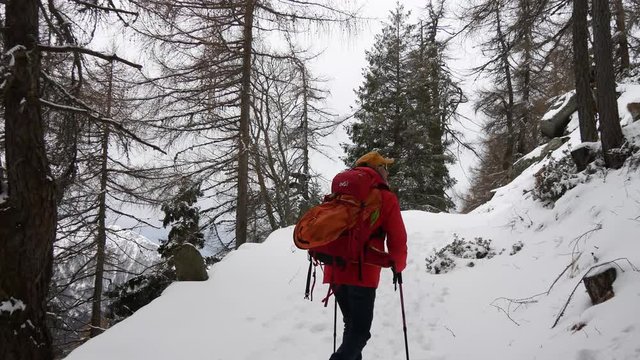 Trekking invernale con le ciaspole