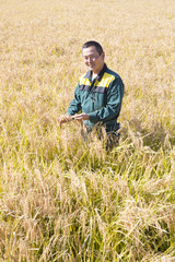 Rice farmer male