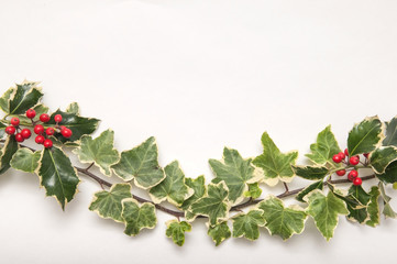 Holly and Ivy branch isolated