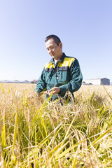 Rice farmer male