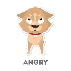 Isolated angry dog.