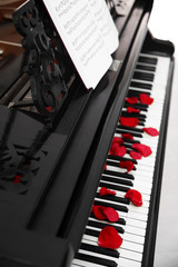 Rose petals on piano keys