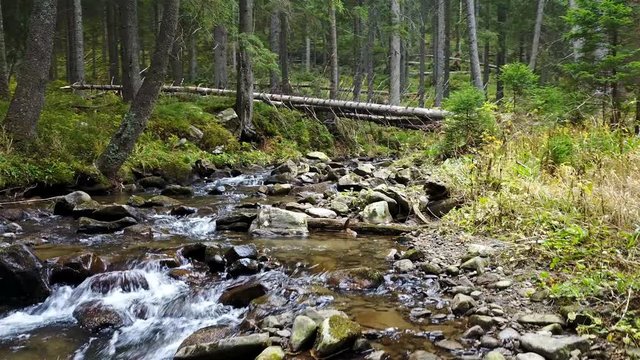 A view of a mountain stream that flows down a slope of stones