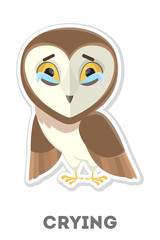 Isolated crying owl.