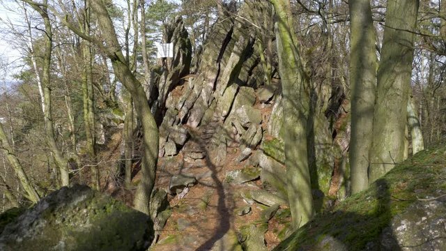 Man walks through rocks in forest