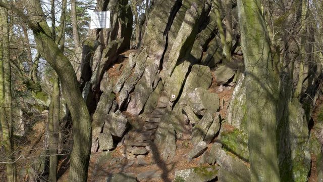 Man walks through rocks in forest