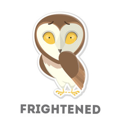 Isolated scared owl.