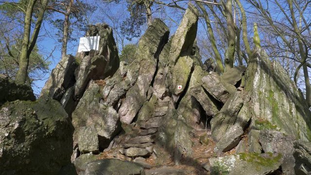 Man walks through rocks in forest