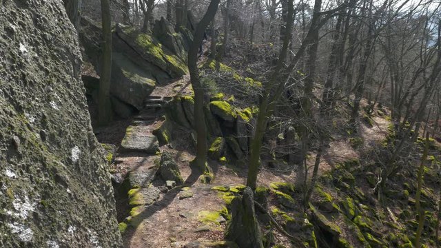 Man walks through rocks in forest