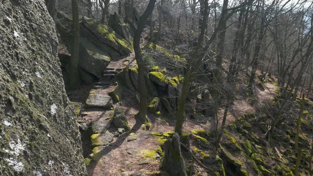 Man walks through rocks in forest