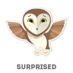 Isolated surprised owl.