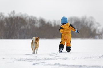 雪野原で柴犬と遊ぶ男の子