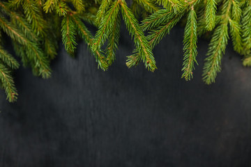 spruce and black background. Wooden background. Christmas of the heart. Black background. Beautiful fir