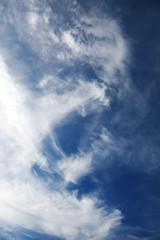 white clouds in a blue sky