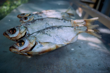 Salty dry river fish on a dark  background