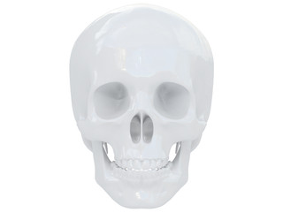 white full body skeleton side view 3d rendering