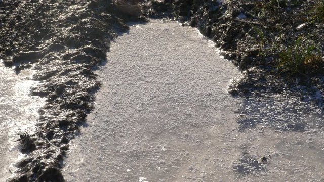 Man's foot crushing ice on puddle in winter