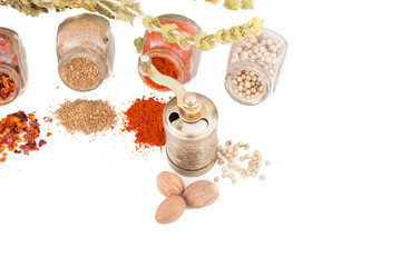 Herbs and spices isolated on white background. Mountain tea, paprika, curry, coriander and mill for spices. Colorful composition of spices.