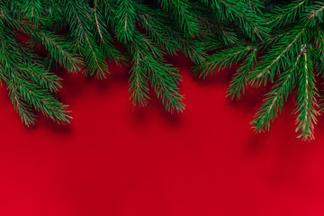 Christmas background. red background. Real tree