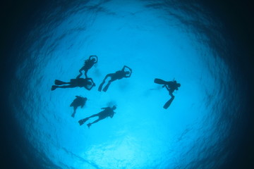 Scuba dive